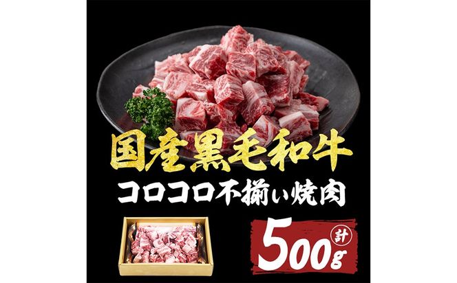 【数量限定】国産和牛コロコロ不揃い焼肉(計500g) a1-135