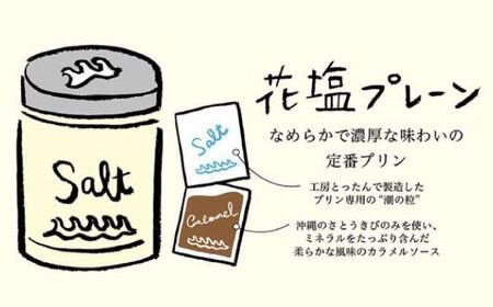 【全6回定期便】しおが主役 しおをかけてたべる プリン 花塩 プレーン 6個 セット 糸島市 / またいちの塩 [AEB008]