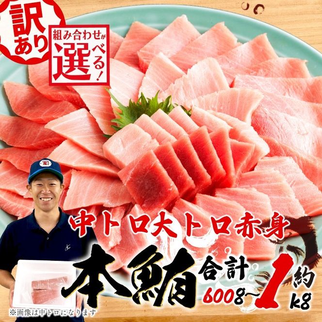 【組み合わせが選べる】 訳あり 本まぐろ 中とろ 大とろ 赤身 セット 約 600g～1kg 不定型柵 鮪 まぐろ 中トロ 大トロ 冷凍 鮪 漬け マグロ ユッケ 海鮮 本マグロ 本まぐろ 人気 まぐろ おいしい まぐろ 静岡 藤枝