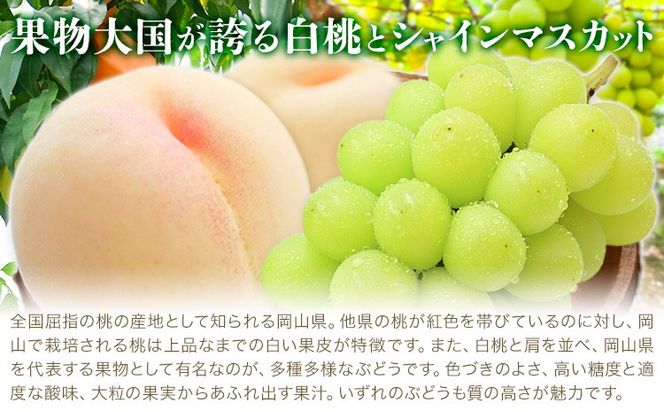 【2026年発送先行予約】ぶどう 白桃 2ヶ月 定期便 岡山 の 白桃 と シャインマスカット 計4kg 晴れの国おかやま館(漂流岡山)《2026年8月下旬-9月下旬頃出荷》岡山県 笠岡市 桃 もも マスカット シャインマスカット 果物【配送不可地域あり】（離島）---H-52---