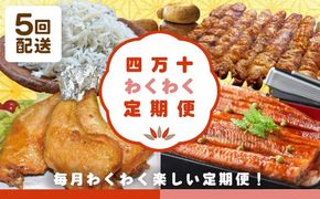 【5回定期便】四万十わくわく定期便5万円コース 定期便 5回 5万コース 魚介 魚 しらす シラス うなぎ ウナギ 鰻 豚肉 豚 ポーク 鶏肉 鶏 チキン パン 冷凍パン ベーグル ごちそう 贅沢 惣菜 おかず 高知 四万十 しまんと 39210-999-9008