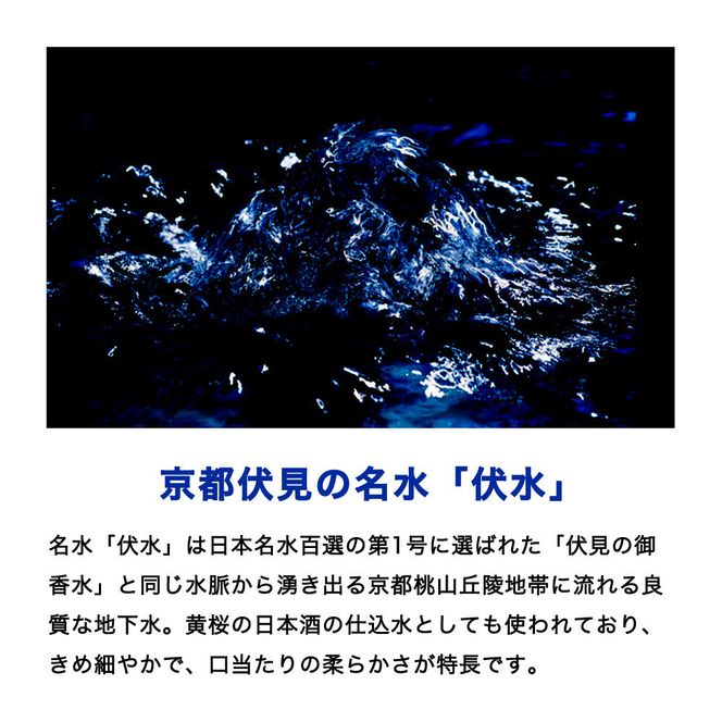 【黄桜】伏水スパークリング (500ml×12本入) ［ 京都 キザクラ 炭酸水 天然水 名水 ソーダ割 ハイボール 酎ハイ 人気 おすすめ お取り寄せ 通販 送料無料 ふるさと納税 ］ 261009_B-DN91