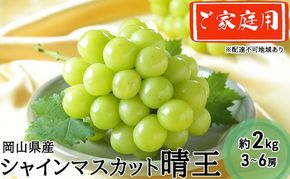 ぶどう 2026年 先行予約 ご家庭用 シャイン マスカット 晴王 3～6房 約2kg ブドウ 葡萄 岡山県産 国産 フルーツ 果物