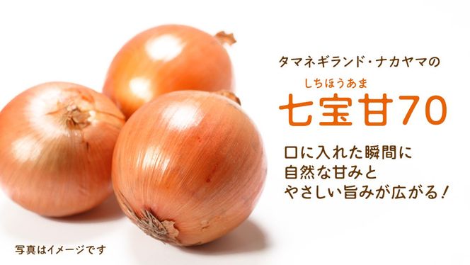 【先行予約】つくばみらい市産たまねぎ 5kg （七宝甘70）保管に便利な 貯蔵 ネット付【2026年5月より発送開始】 タマネギ 国産 茨城県産 甘い 辛くない 旨味 栽培期間中農薬不使用大玉 サラダ スープ 箱売り キロ販売 業務用 大容量 [FH01-NT]
