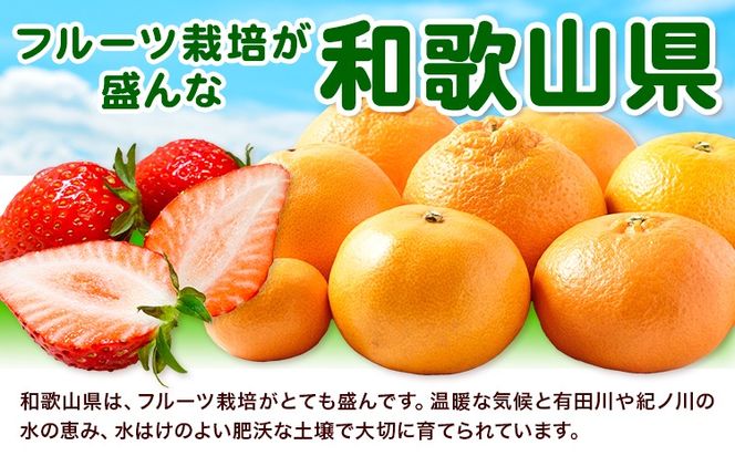 わかやま旬の フルーツ 定期便 【全3回】 選べる 内容量 S L 有田マルシェ《発送月固定・全3回出荷》 和歌山県 日高町 苺 いちご 柑橘 オレンジ 小玉 スイカ レモン みかん 有田 みかん 柿 果物 定期 柑橘 果物【配送不可地域あり】 ---wsh_arm60_30d_25_28000_s---