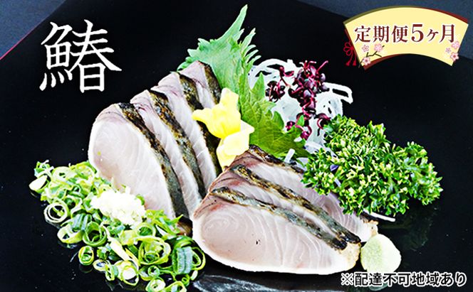 【 すえひら 】定期便 5ヶ月 岡山 名物 - さわらのたたき ( 鰆のたたき ) 5人前 セット 5回 さわら 鰆 サワラ たたき 定期便 魚介類 和食 冷蔵 魚料理 一品料理 つまみ お酒のあて 肴 