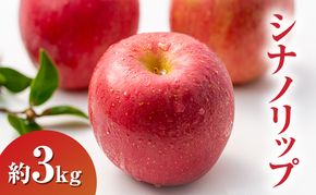 【2026年8月～発送】シナノリップ約3kg りんご 長野県産