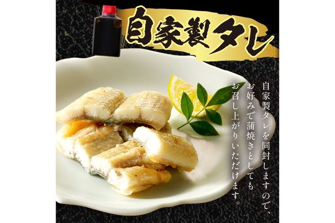うなぎの白焼き2~3人前（1尾） ふるさと納税 ウナギ 鰻 白焼 しらやき タレ 国産 うなぎ 鰻 惣菜 京都 ギフト 贈り物 お祝い　AN00094