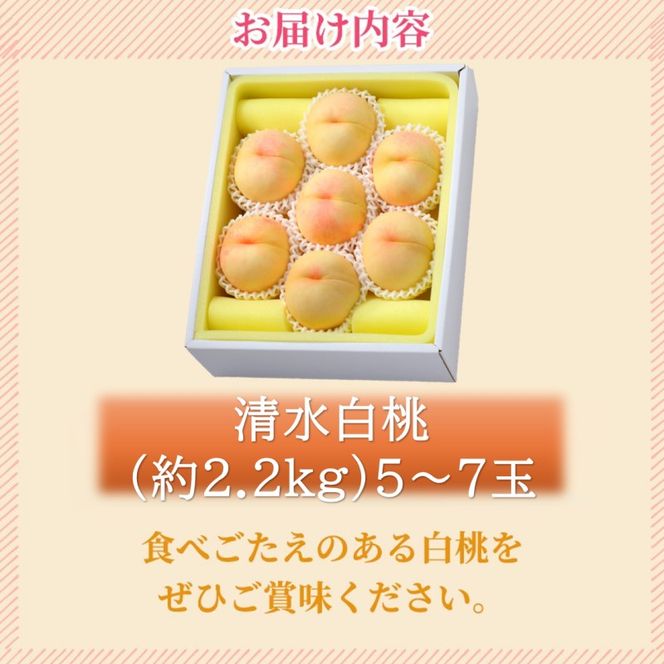 2026年 早期受付 岡山県産 清水白桃 (約2.2kg)5～7玉 桃 白桃 もも 果物 フルーツ