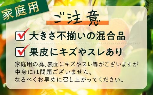 【先行予約】【家庭用】不知火 10kg ｜ 柑橘 みかん ミカン フルーツ 果物 でこぽん デコポンと同品種 愛媛　※離島への配送不可　※2025年2月上旬～3月上旬頃に順次発送予定