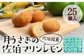 月うさぎの佐伯マリンレモン (計25個) レモン レモンケーキ スイーツ スウィーツ 菓子 焼き菓子 洋菓子 おやつ セット 個装 大分県 佐伯市【ER005】【(株)古川製菓】