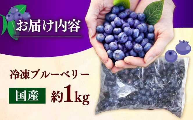 築上町産 冷凍 ブルーベリー 1kg 《築上町》【(有)工房よしかわ】国産 ブルーベリー [ABAK001]