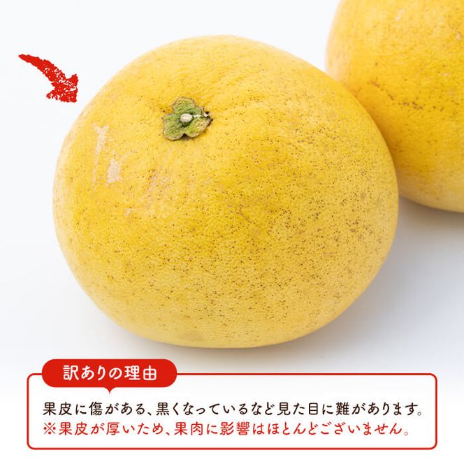 ＜先行予約受付中！2027年1月上旬以降順次発送予定＞訳あり！鹿児島県阿久根市産ボンタン(計8kg)国産 ぼんたん 文旦 柑橘 果物 フルーツ【松永青果】akn053-02