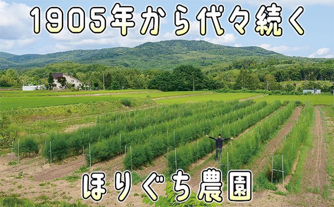 アスパラ 北海道 約1.5kg！朝採り 露地限定グリーンアスパラ（M・Sサイズ混合）［ほりぐち農園］※2026年5月中旬出荷開始先行予約  野菜 アスパラガス 旬 とれたて お取り寄せ 産地直送 