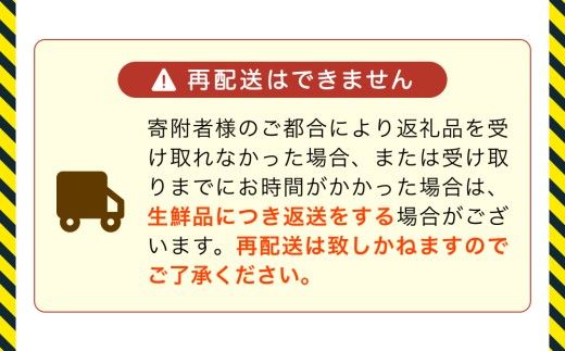 【先行予約】ボイルほたるいか【冷蔵でお届け】【27年3月中旬以降順次発送】カネツル砂子商店 【ほたるいか ホタルイカ 便利 国産 水揚げ いか イカ おすすめ カネツル砂子商店 冷蔵 朝どれ おつまみ 旬 富山】