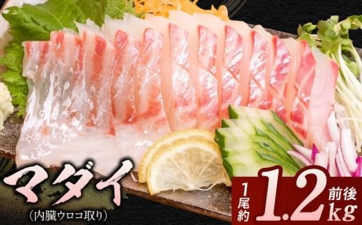 y{茧sz}_CiERj1 N015-YA3329