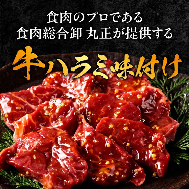 【食肉総合卸 丸正】牛ハラミ味付け 2.4kg［153M13］