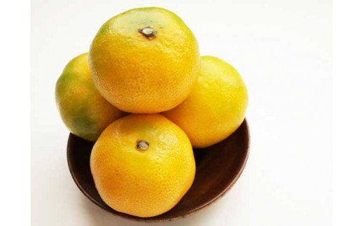BF6057_【2026年先行予約】ハウスみかん 二種 食べ比べ 4パック 【ミカン 蜜柑 柑橘 温州みかん 有田みかん ハウスミカン 和歌山】