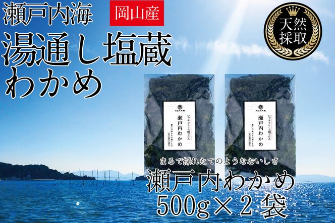 湯通し塩蔵 瀬戸内 わかめ 500g×2袋【岡山 瀬戸内海 天然 塩蔵】 無添加 無着色 健康 味噌汁 炊き込み サラダ 