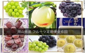 フルーツ 晴れの国 岡山 の フルーツ 定期便 6回コース 岡山県産 桃 もも 葡萄 ぶどう 梨 なし 2026年 先行予約 