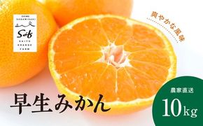 【先行予約】Saito Orange Farmの早生（わせ）みかん10kg ｜ 柑橘 みかん ミカン フルーツ 果物 愛媛　※離島への配送不可　※2024年11月中旬頃より順次発送予定