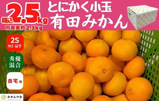 みかん とにかく小玉 箱込 2.5kg ( 内容量約2.3kg) 2Sサイズ以下 秀品 優品 混合 有田みかん 和歌山県産 産地直送 家庭用 【みかんの会】 AX374