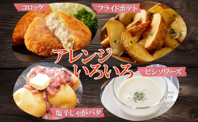 北海道産じゃがいも 男爵 きたかむい各約10kg Lサイズ 計20kg ジャガイモ 男爵いも 馬鈴薯 ポテト 根菜 常備野菜 産直 国産 送料無料 北海道 倶知安町 ?知安町 