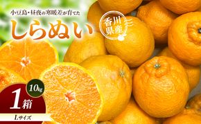 小豆島・昼夜の寒暖差が育てたしらぬい L 1箱(10kg) しらぬい 不知火 柑橘 フルーツ 果物 くだもの 香川 香川県 土庄 土庄町