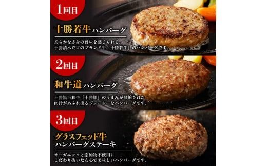 【3回定期便】ハンバーグ食べ比べ定期便 焼くだけ簡単 冷凍ハンバーグ ハンバーグ食べ比べ 夕飯に お弁当に アレンジ色々 ハンバーグ 小分けハンバーグ_S999-0002