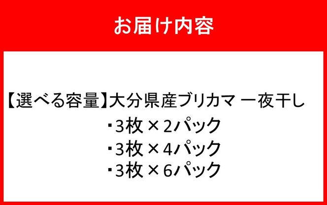 【選べる容量】大分県産ブリカマ 一夜干し_2661R