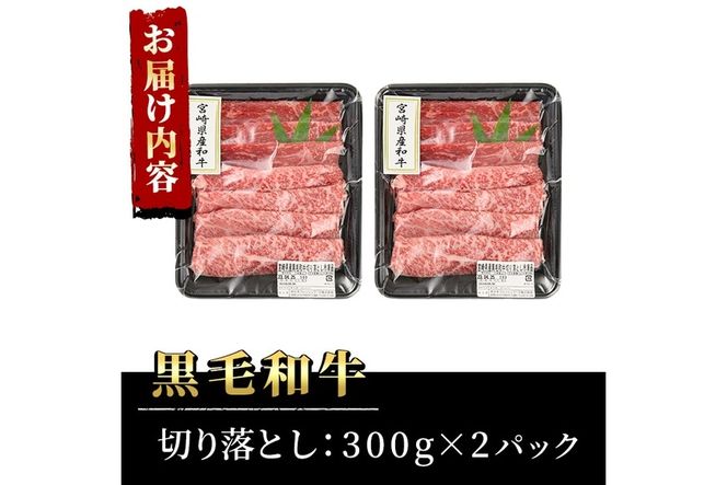 宮崎県産黒毛和牛切り落とし(計600g・300g×2P)牛肉 精肉 お肉 モモ 肩 カタ バラ ミックス 小分け すき焼き しゃぶしゃぶ 牛丼 肉じゃが 国産 冷凍【P-20】【南日本フレッシュフード株式会社(日本ハムマーケティング株式会社)】