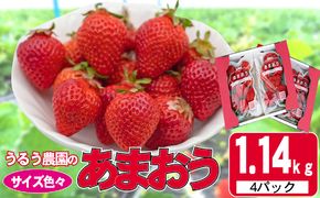 いちご 2027年2月下旬より発送 うるう農園のあまおう サイズ色々4パック 約1.14kg※配送不可：離島 果物 フルーツ デザート 食後 特別栽培 福岡県産 国産 日本産 