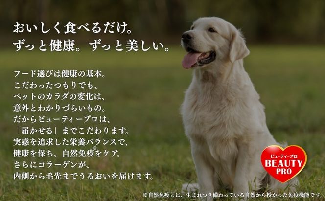 ビューティープロ ドッグ 食物アレルゲンに配慮 10歳以上 2.3kg ｘ4(ケース単位) ドッグフード