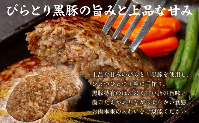 びらとり黒豚ハンバーグ 150g×5枚 BRTC007