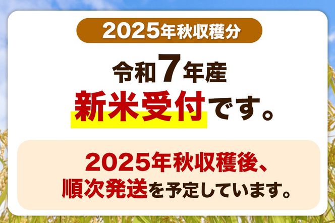 令和7年産 新米受付》《定期便8ヶ月》【白米】秋田県産