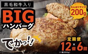 099Z413 【定期便】黒毛和牛入り BIGハンバーグ（200g×12個）全6回 【毎月配送コース】