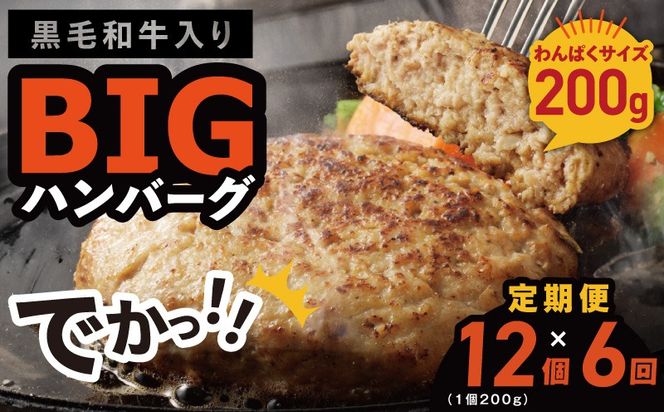 099Z413 【定期便】黒毛和牛入り BIGハンバーグ（200g×12個）全6回 【毎月配送コース】