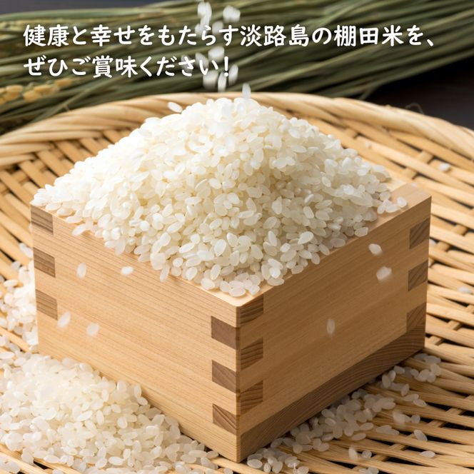 【定期便】健幸農園の棚田米 10kg×3ヵ月セット 白米
