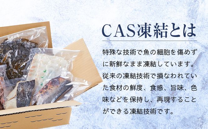 CAS凍結 南紀の誉れ 旬 の 海産物 6品 セット お楽しみ 簡単調理 干物 お造り 塩焼き など 304018_C001