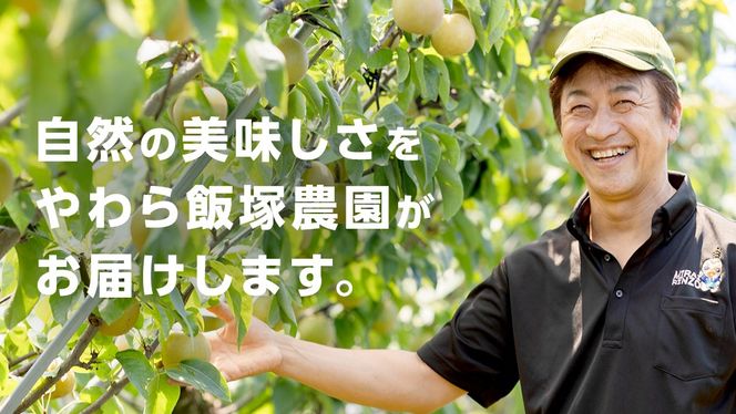 つくばみらい市産の 梨 を使った スパークリングワイン 「KOU」6本入 スパークリング ワイン シードル お酒 酒 果実酒 フルーツ 果物 [CZ05-NT]