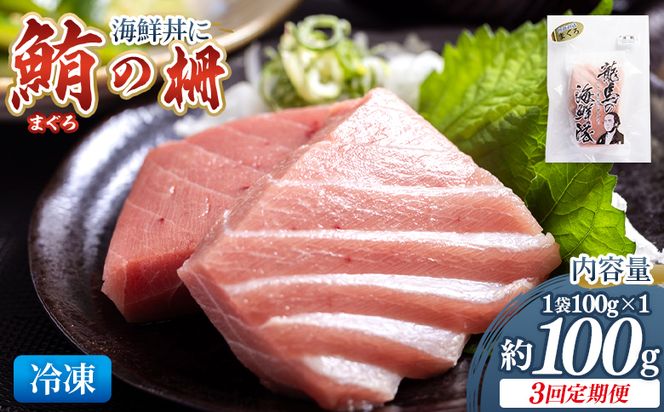 【3回定期便】まぐろ柵 1袋(100g以上) - 定期便 国産 刺身 ブロック 海鮮丼 漬け丼 煮物 生食 焼き物 鮪 マグロ 小分けパック 柵どり さく取り 海鮮 新鮮 魚介 産地直送 龍馬の海鮮隊 野島水産 高知県 香南市 Wnz-0080