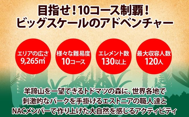 北海道 NAC アドベンチャー パーク 大人 1日券 2枚 アウトドア アクティビティ アトラクション 冒険 ジップライン ペア 体験チケット バンジージャンプ 子供 大人 夏季 冬季 観光 ひらふ ニセコ 野外 アドベンチャーセンター 