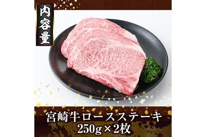 宮崎牛ロースステーキ(計500g・250g×2)お肉 牛肉 黒毛和牛 ブランド和牛 冷凍 国産 焼肉 BBQ【R-33】【ミヤチク】
