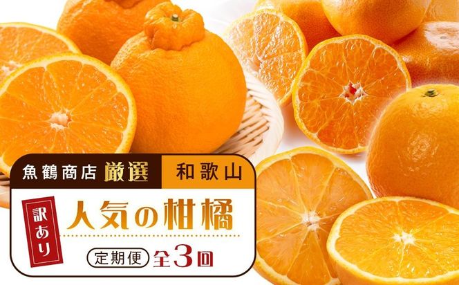 【魚鶴商店厳選】和歌山人気の柑橘ご家庭用・訳あり定期便（みかん・不知火・清見オレンジ）【定期便全3回】【UT117w】AN032
