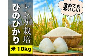 瀬戸内市のおいしい お米 「ひのひかり」 10kg（5kg×2袋）岡山県 瀬戸内市産 石黒農園 ご飯 銘柄米 炭水化物 白米 ライス 主食 和食 おにぎり お弁当 産地直送 