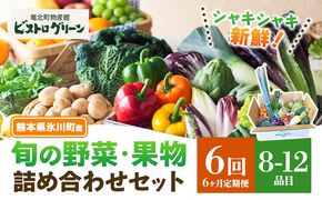 【6ヶ月定期便】旬の野菜・果物詰め合わせセット 8-12品 氷川町産 道の駅竜北《お申込み月の翌月から出荷開始》熊本県 氷川町 旬 フルーツ 果物 くだもの 野菜 やさい 新鮮---hkw_mer_9_mo6_tei---