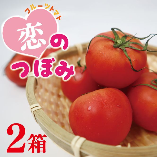 ★数量限定★JA　恋のつぼみ(フルーツトマト2箱)｜トマト フルーツトマト 恋のつぼみ 先行予約 数量限定 野菜 茨城県 行方市(AE-6)