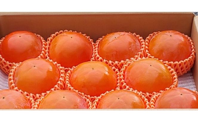 柿 かき 富有柿 3kg 2L サイズ 10～12個入り 朝倉 杷木の富有柿 カキ フルーツ 果物 果物類 