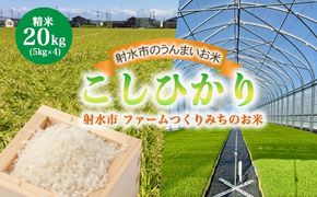 【射水市】【射水の美味しいお米】ファームつくりみちのお米 作道米R7年度産こしひかり 20kg（5kg×4）【精米】 ※離島への配送不可