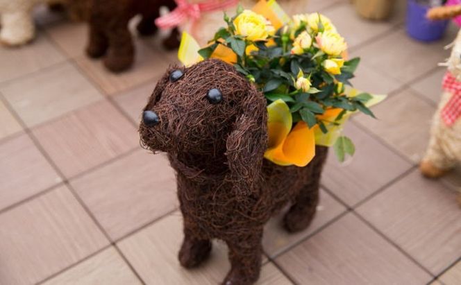 チビわんこのフラワーバスケット（1匹） 植物 